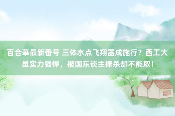 百合華最新番号 三体水点飞翔器成施行？西工大虽实力强悍，被国东谈主捧杀却不能取！