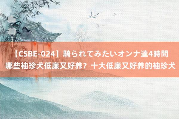 【CSBE-024】騎られてみたいオンナ達4時間 哪些袖珍犬低廉又好养？十大低廉又好养的袖珍犬