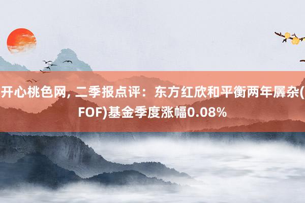 开心桃色网， 二季报点评：东方红欣和平衡两年羼杂(FOF)基金季度涨幅0.08%