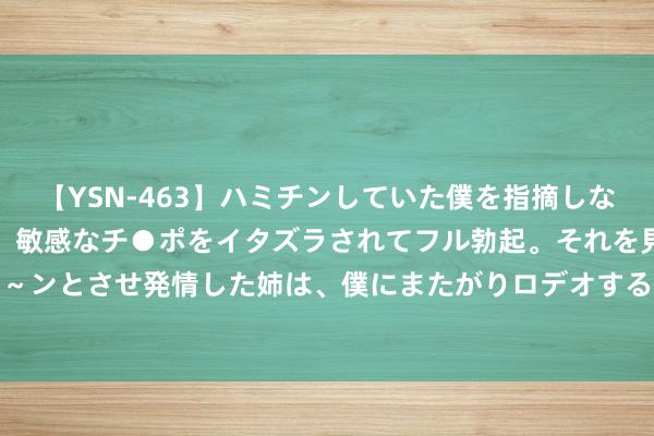 【YSN-463】ハミチンしていた僕を指摘しながらも含み笑いを浮かべ、敏感なチ●ポをイタズラされてフル勃起。それを見て目をトロ～ンとさせ発情した姉は、僕にまたがりロデオする。 去容县，奔赴一场 好“City”的旅行