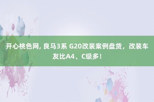 开心桃色网， 良马3系 G20改装案例盘货，改装车友比A4、C级多！