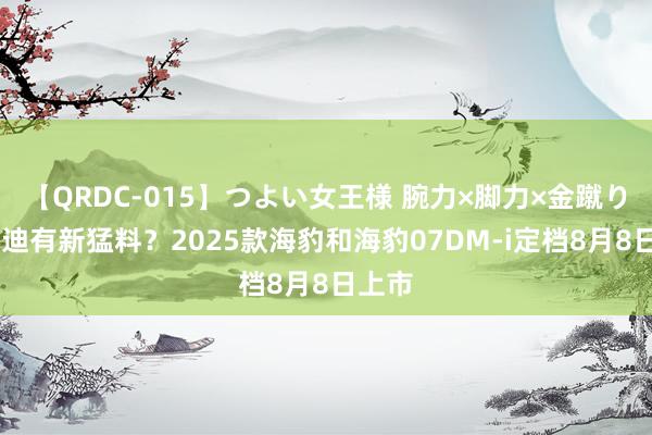 【QRDC-015】つよい女王様 腕力×脚力×金蹴り 比亚迪有新猛料？2025款海豹和海豹07DM-i定档8月8日上市