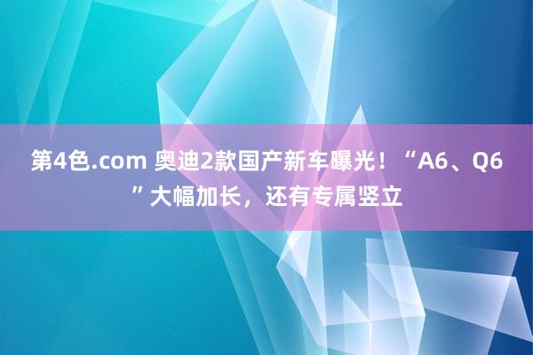 第4色.com 奥迪2款国产新车曝光！“A6、Q6”大幅加长，还有专属竖立