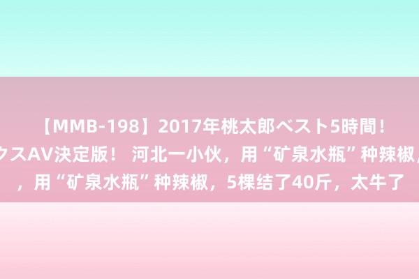 【MMB-198】2017年桃太郎ベスト5時間！これが見納めパラドックスAV決定版！ 河北一小伙，用“矿泉水瓶”种辣椒，5棵结了40斤，太牛了