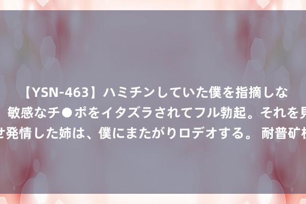 【YSN-463】ハミチンしていた僕を指摘しながらも含み笑いを浮かべ、敏感なチ●ポをイタズラされてフル勃起。それを見て目をトロ～ンとさせ発情した姉は、僕にまたがりロデオする。 耐普矿机：截止到2024年6月底，公司领有好意思元货币资金1978万好意思元