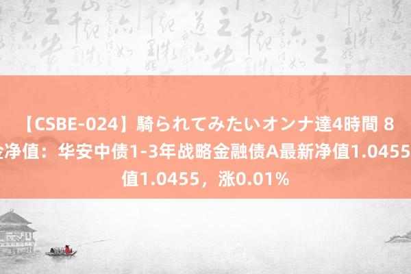 【CSBE-024】騎られてみたいオンナ達4時間 8月16日基金净值：华安中债1-3年战略金融债A最新净值1.0455，涨0.01%