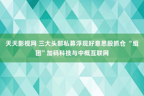 天天影视网 三大头部私募浮现好意思股抓仓 “组团”加码科技与中概互联网