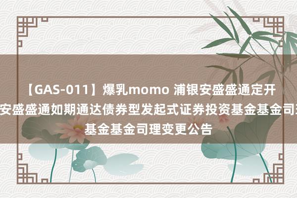 【GAS-011】爆乳momo 浦银安盛盛通定开债券: 浦银安盛盛通如期通达债券型发起式证券投资基金基金司理变更公告