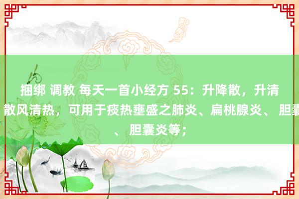 捆绑 调教 每天一首小经方 55：升降散，升清降浊、散风清热，可用于痰热壅盛之肺炎、扁桃腺炎、 胆囊炎等；