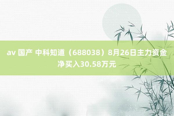 av 国产 中科知道（688038）8月26日主力资金净买入30.58万元