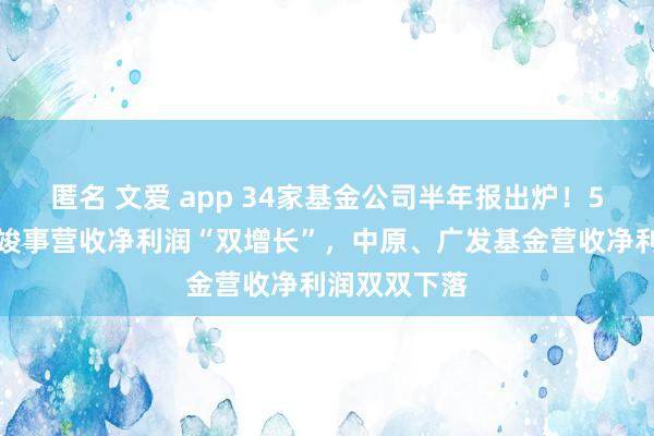 匿名 文爱 app 34家基金公司半年报出炉！5家基金公司竣事营收净利润“双增长”，中原、广发基金营收净利润双双下落