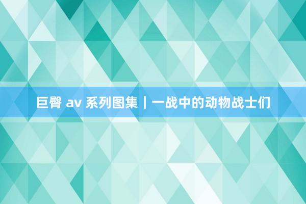 巨臀 av 系列图集｜一战中的动物战士们