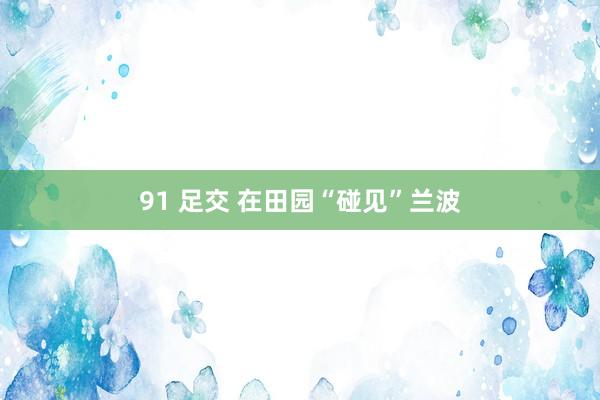 91 足交 在田园“碰见”兰波