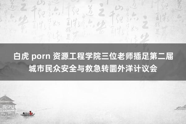 白虎 porn 资源工程学院三位老师插足第二届城市民众安全与救急转圜外洋计议会