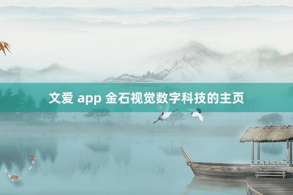 文爱 app 金石视觉数字科技的主页